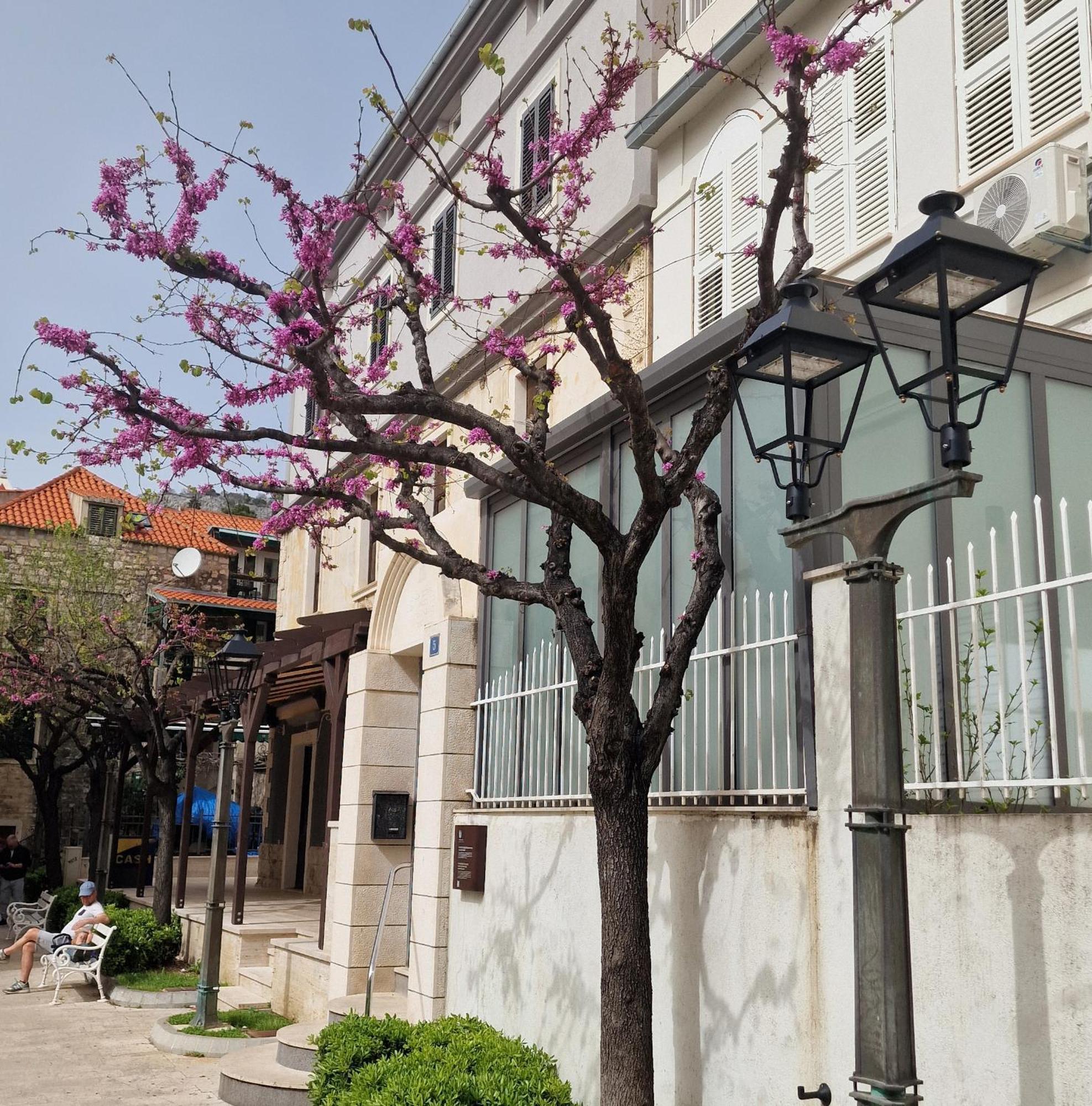 Old Town Apartment Омиш Экстерьер фото